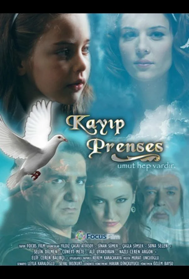 Смотреть Сериал Потерянная принцесса (2010) смотреть онлайн(2010) бесплатно