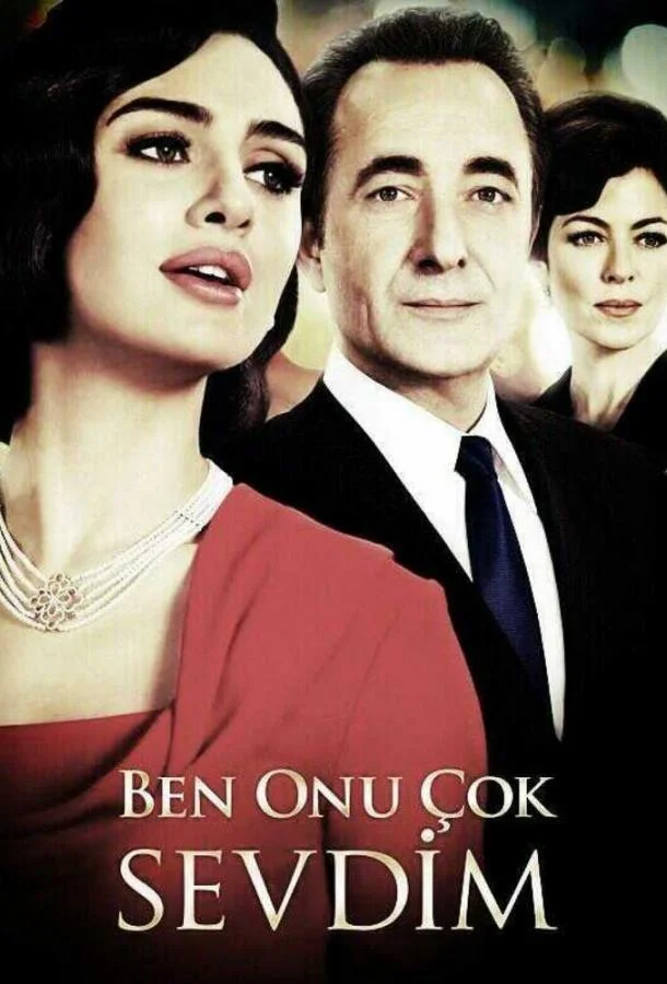 Смотреть Сериал Я его очень любила (2013) смотреть онлайн(2013) бесплатно